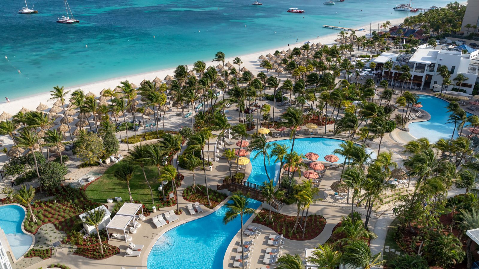 12 Best Aruba Hotels to Build a Sun-Soaked Caribbean Escape Around