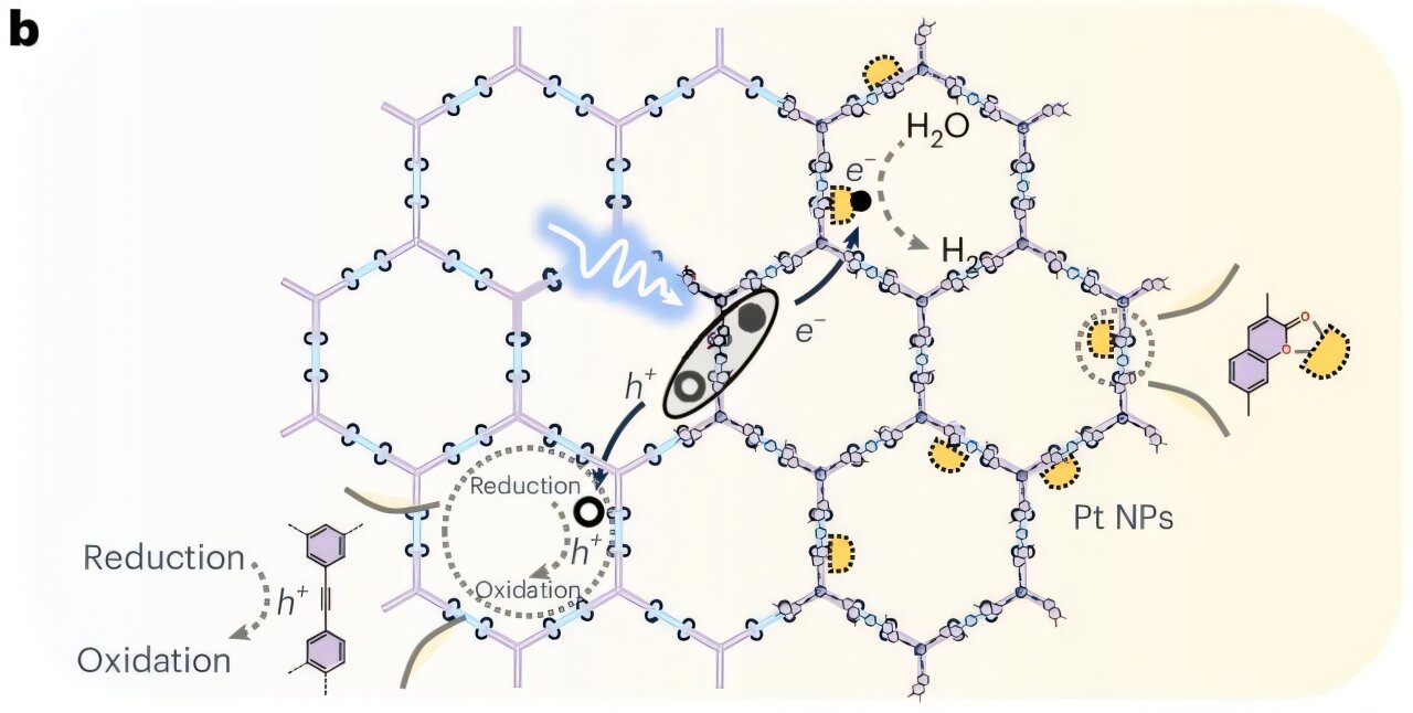 A 1,000-fold longer charge lifetime helps organic catalyst produce solar hydrogen faster