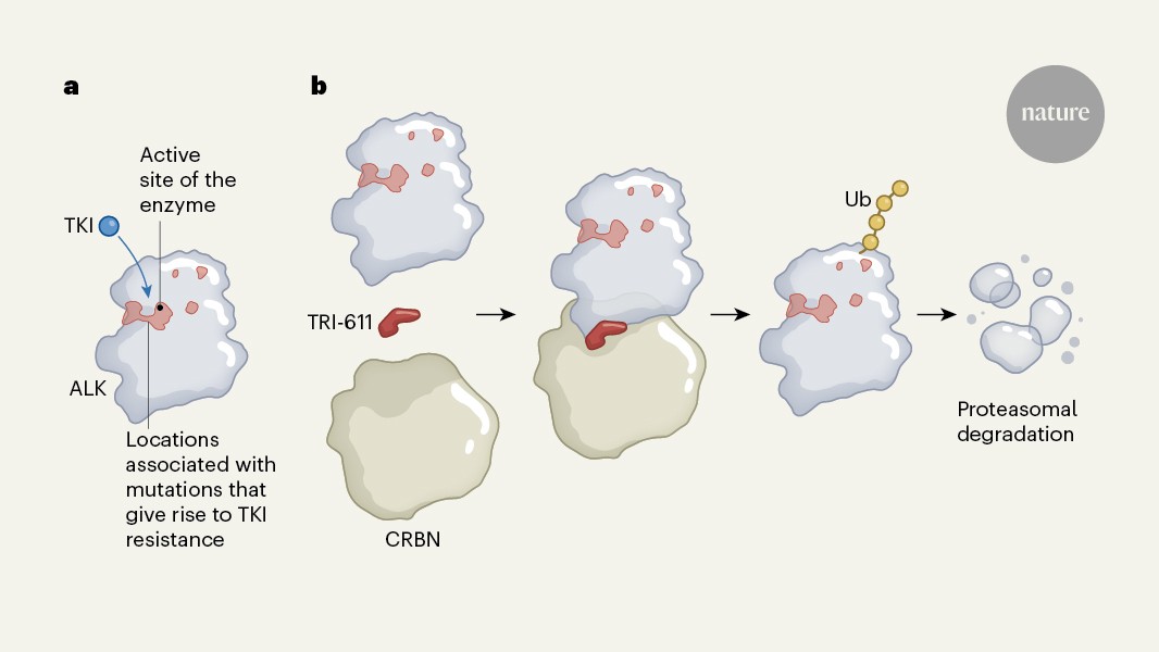 A new chapter in targeting kinase enzymes in cancer