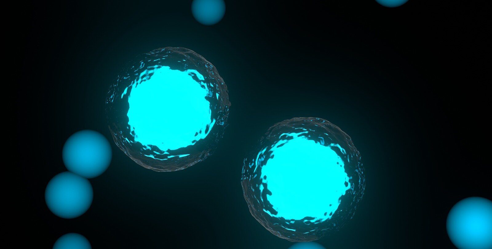 A newly discovered mechanism helps cells prevent errors during DNA replication