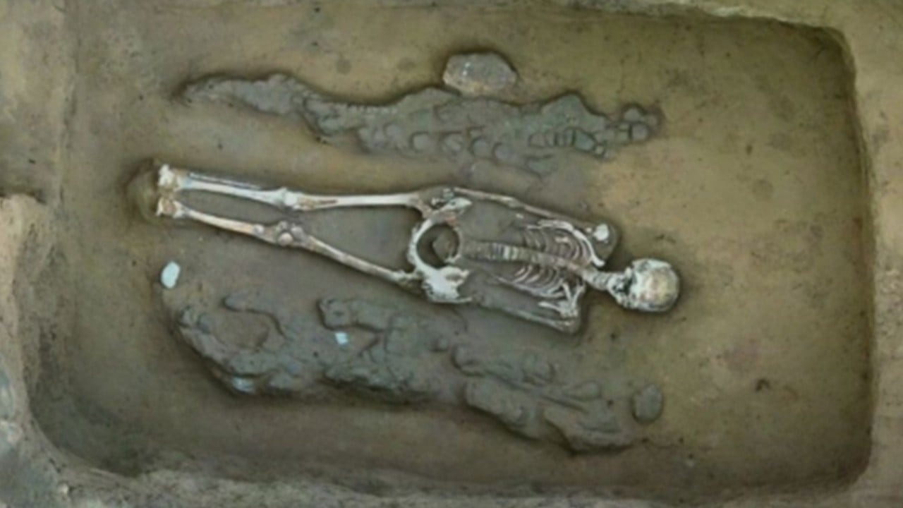A symbol of harmony: Chinese scientists discover earliest dragon-phoenix pairing in ancient tomb