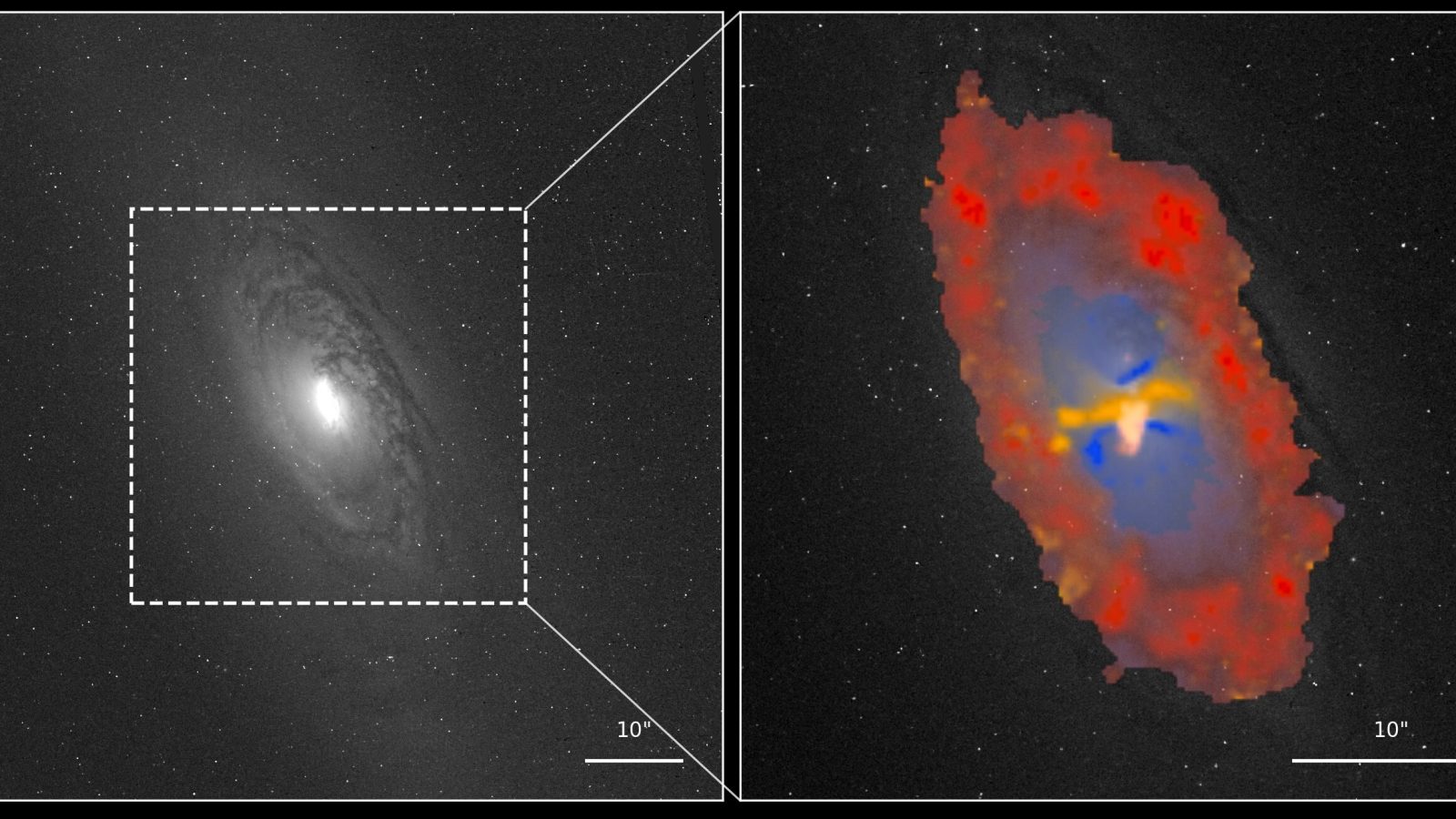 Active black holes reveal star-forming rings and shock waves in nine nearby galaxies