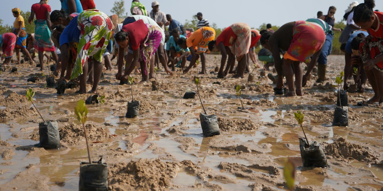Africa's climate services need local detail and knowledge, say people who use the information