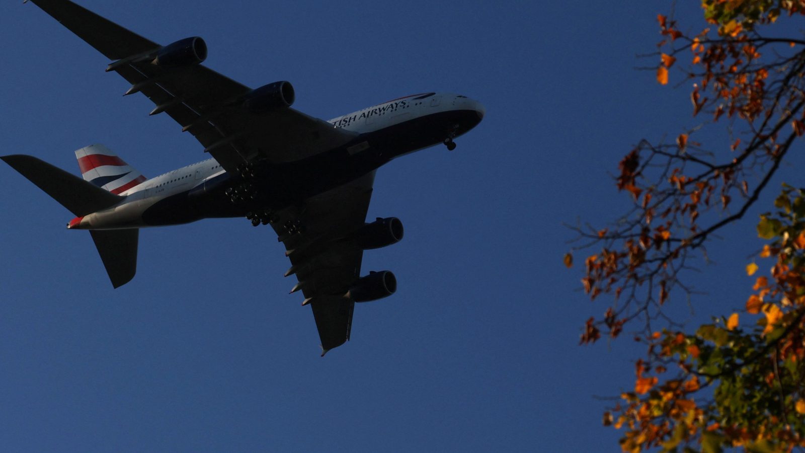 Airlines should pay for CO2 removal if Heathrow expands, say climate advisers