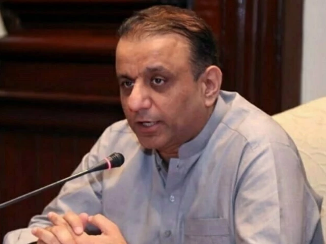 Aleem Khan praises JI for putting off long march, urges PTI to hold talks