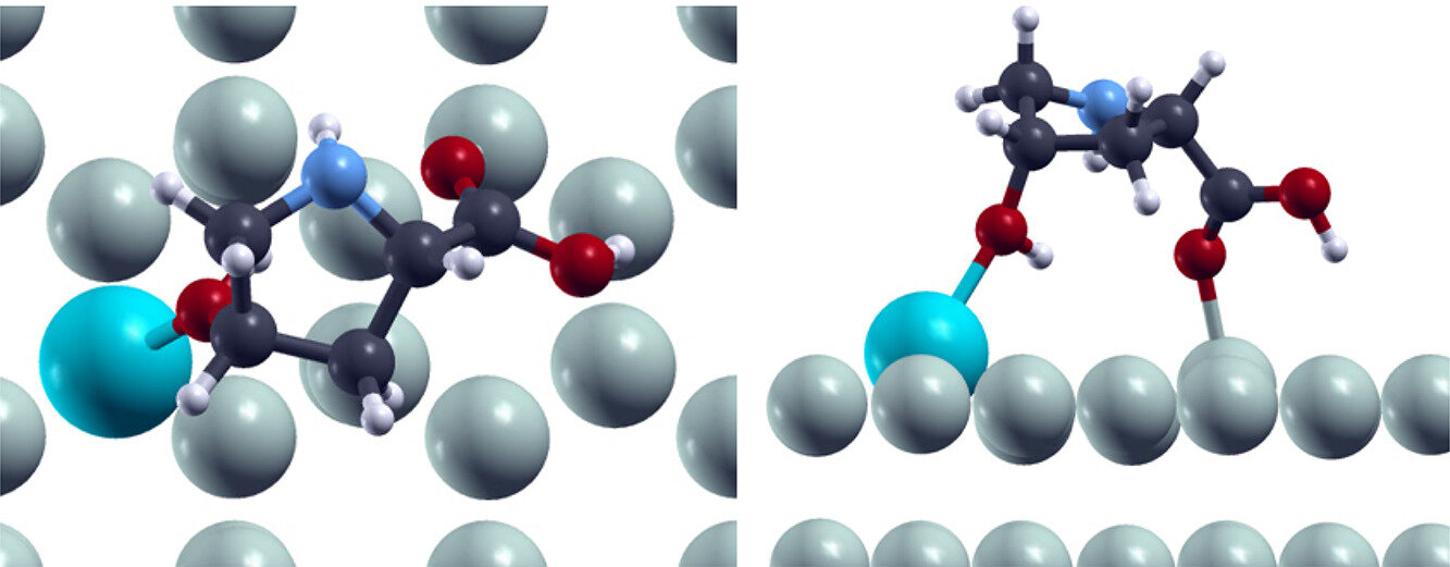 Amino acids and a bone mineral may help control magnesium implant breakdown, three student papers suggest