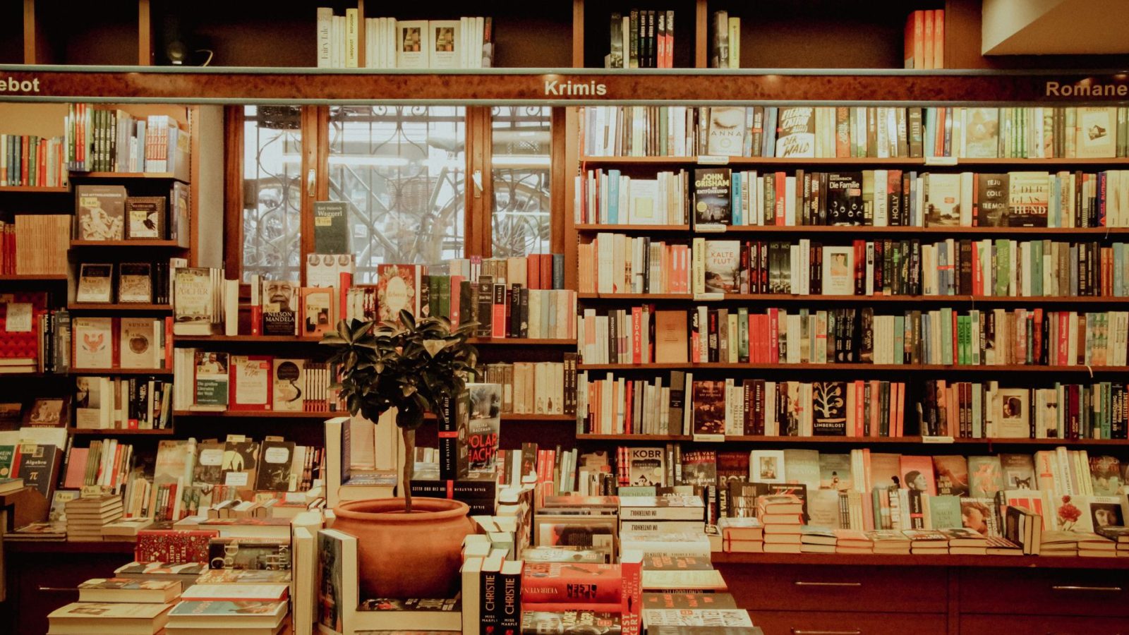 An inviting bookstore interior with shelves full of diverse books, offering a warm literary atmosphere.