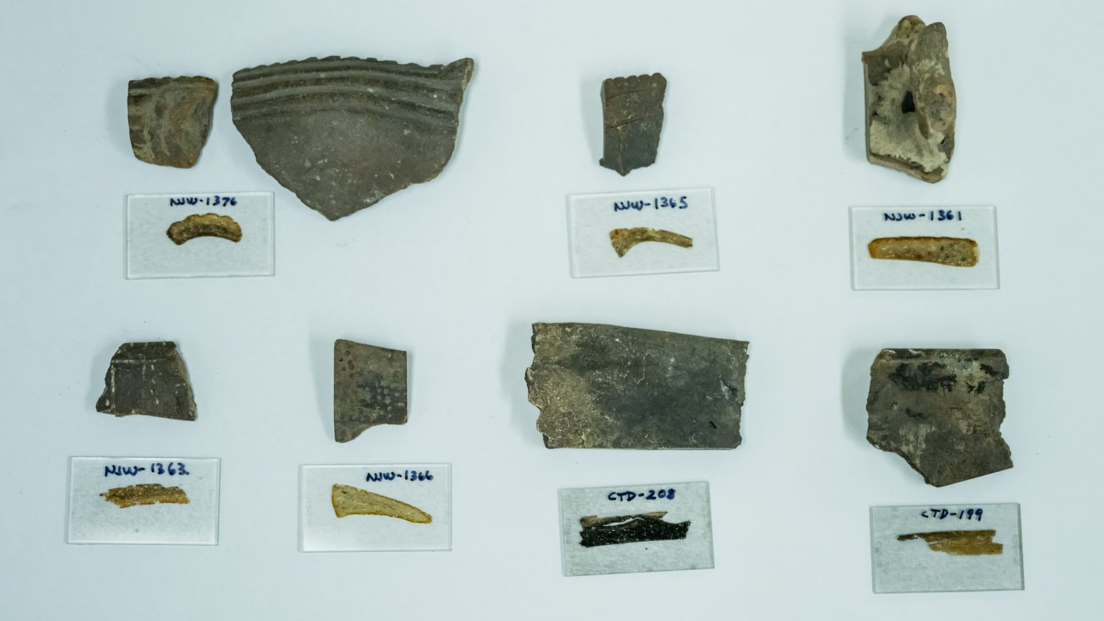 Archaeologists uncover centuries-old mystery of Tampa Bay's secret community of migrant potters