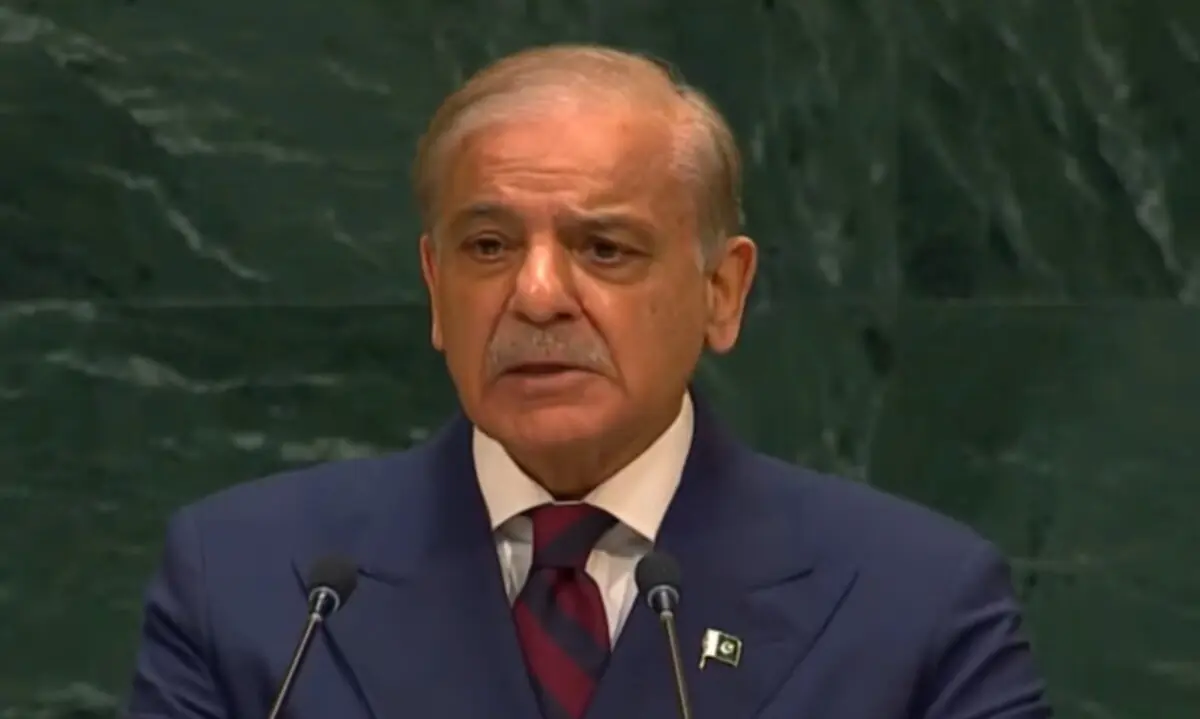 'Arteries of global economy': At UNGA, PM Shehbaz says Hormuz, Bab al-Mandab must remain open