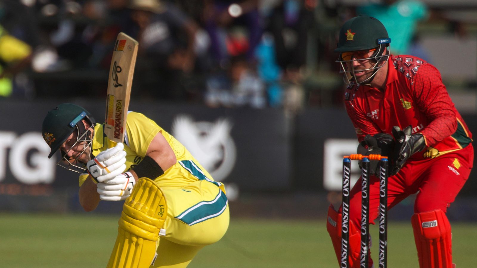 Australia deny Zimbabwe a consolation win after Ellis pulls off last-over heist