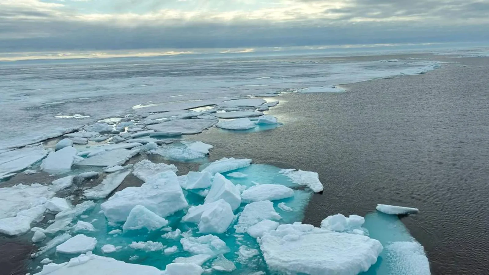Back-to-back Arctic storms can double sea ice loss