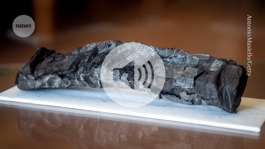 Briefing Chat: Why scientists made papyrus scrolls, then burnt them