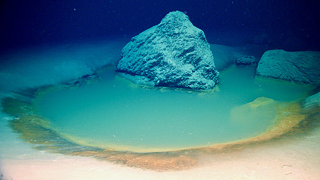 Briny 'death pools' hold clues to early life