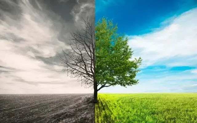 Environmental performance index: Pakistan climbs 22 places