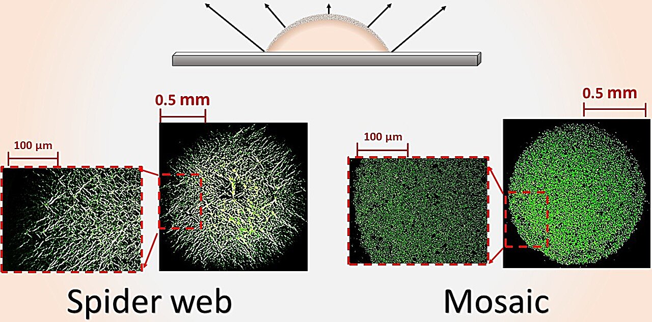 From spider webs to mosaics: How nanosheets of graphene oxide control the patterns left by a drying droplet