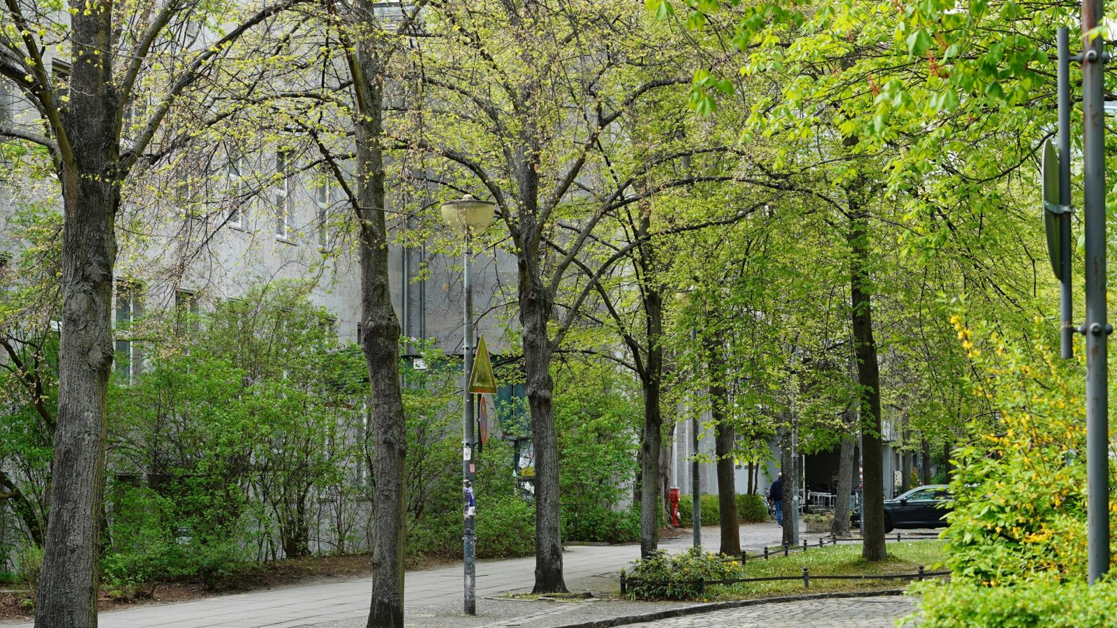 How cities can go greener in a warming climate