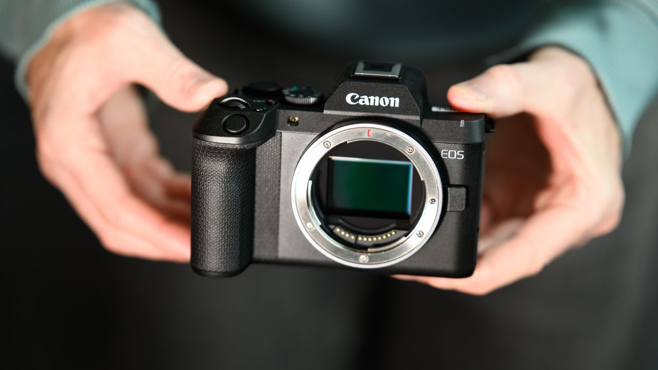 I tried Canon's new-look EOS R8 Mark II — it's a solid upgrade of the EOS R8, but the competition from Nikon is fierce