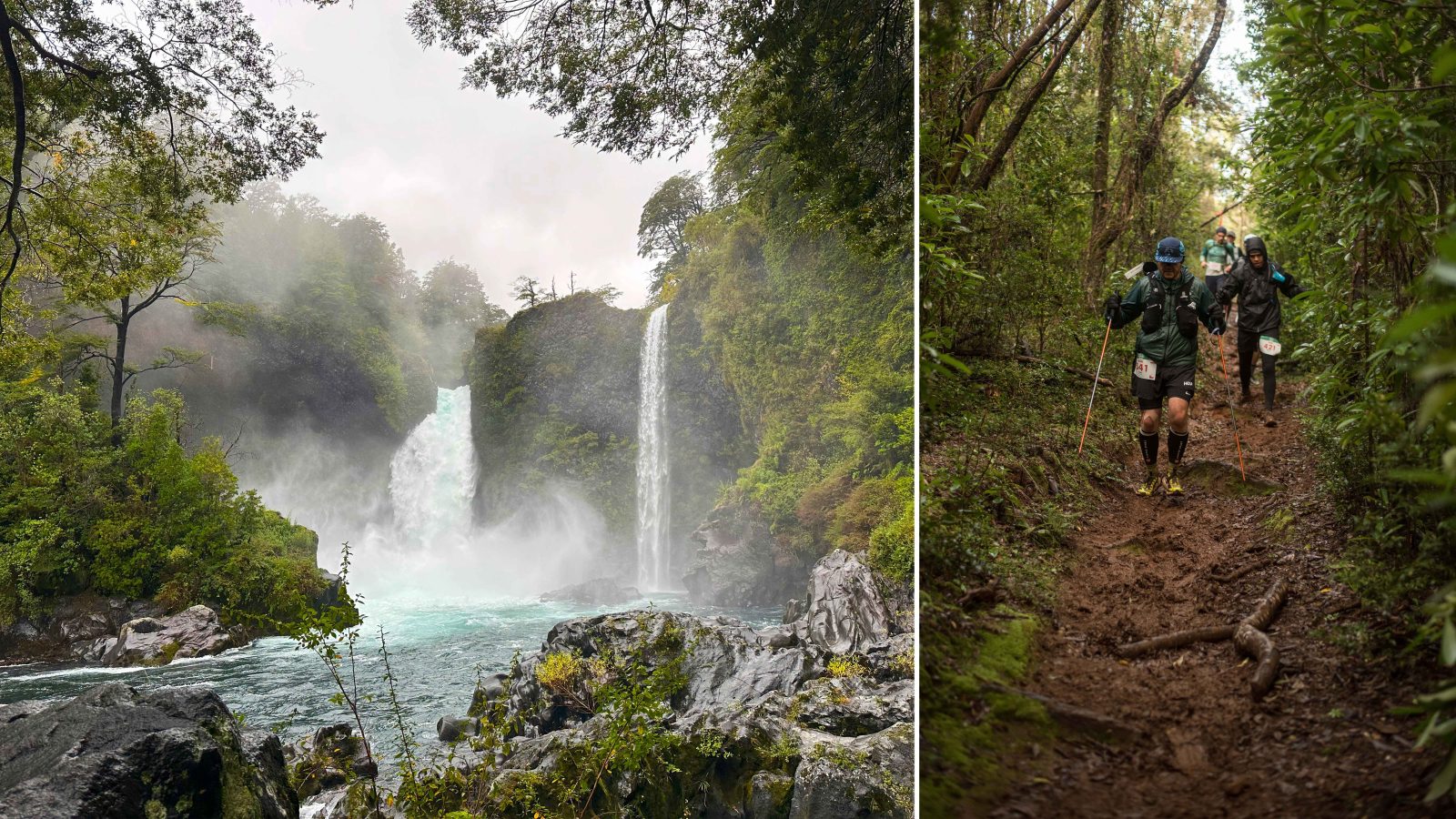In the Rainforest of Chilean Patagonia, Pushing My Limits at a Trail Running Retreat