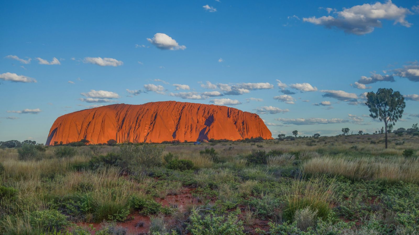 Indigenous Australian population was much larger than previously thought and decimated after First Fleet's arrival