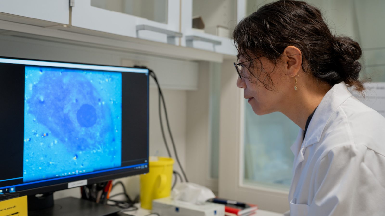 Injectable nanoparticles make blind retinas respond to light in preclinical study