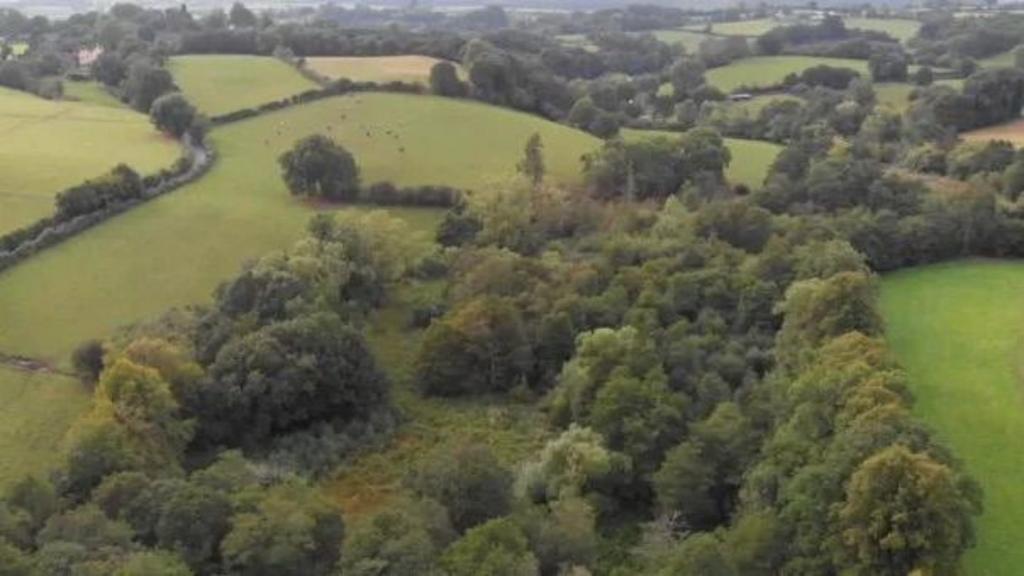 Nature reserve to double in size, thanks to gift