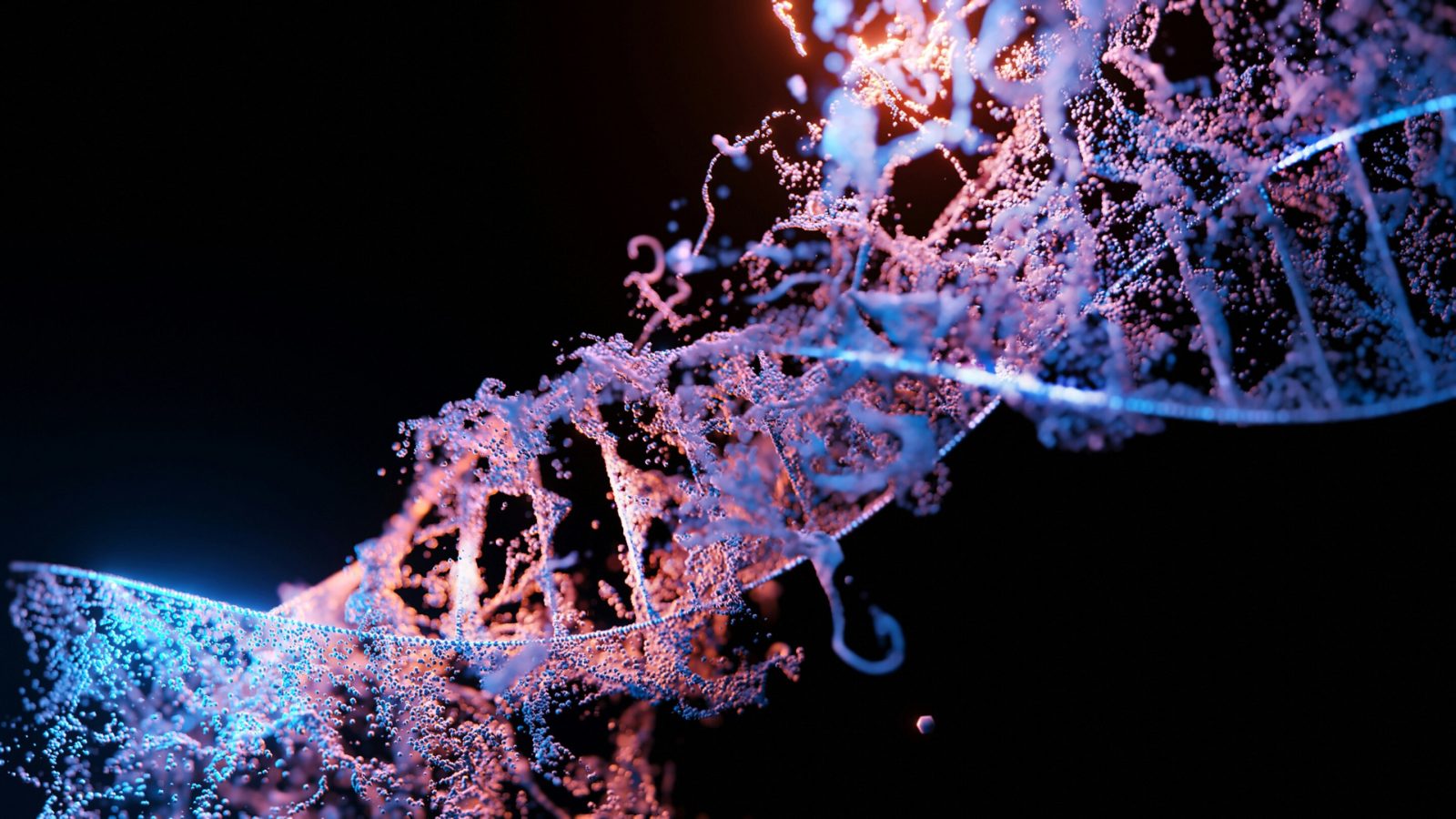 New findings explain how cells assemble machinery to repair damaged DNA
