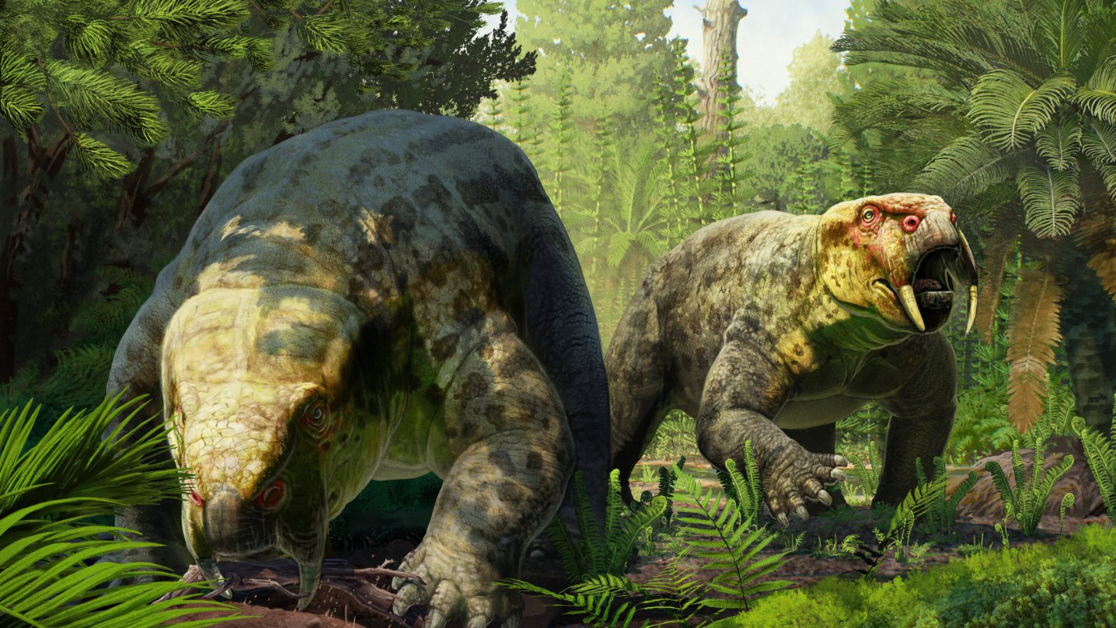 New species of 240-million-year-old prehistoric animal could reshape dinosaur origins timeline