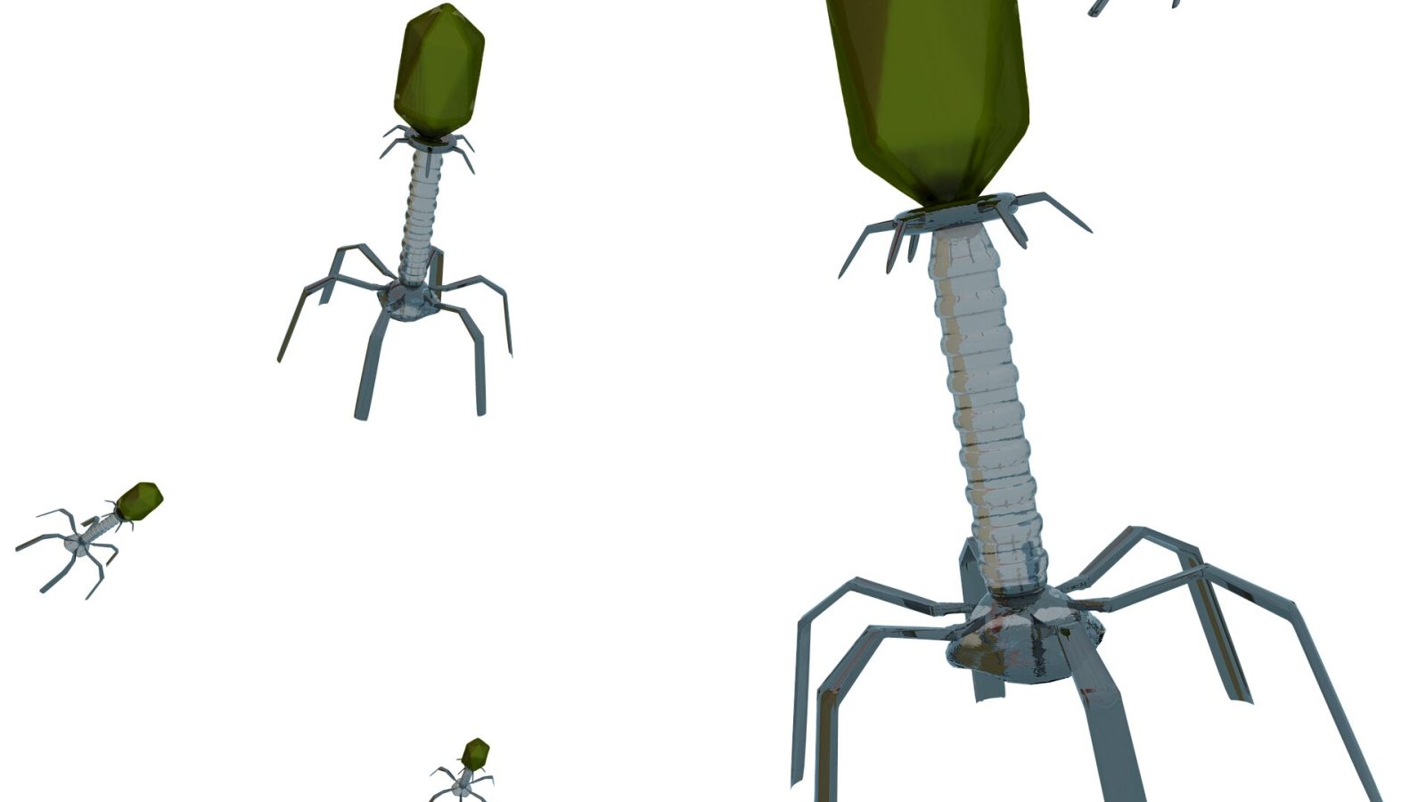 New tool closes gap in harnessing untapped potential of phages