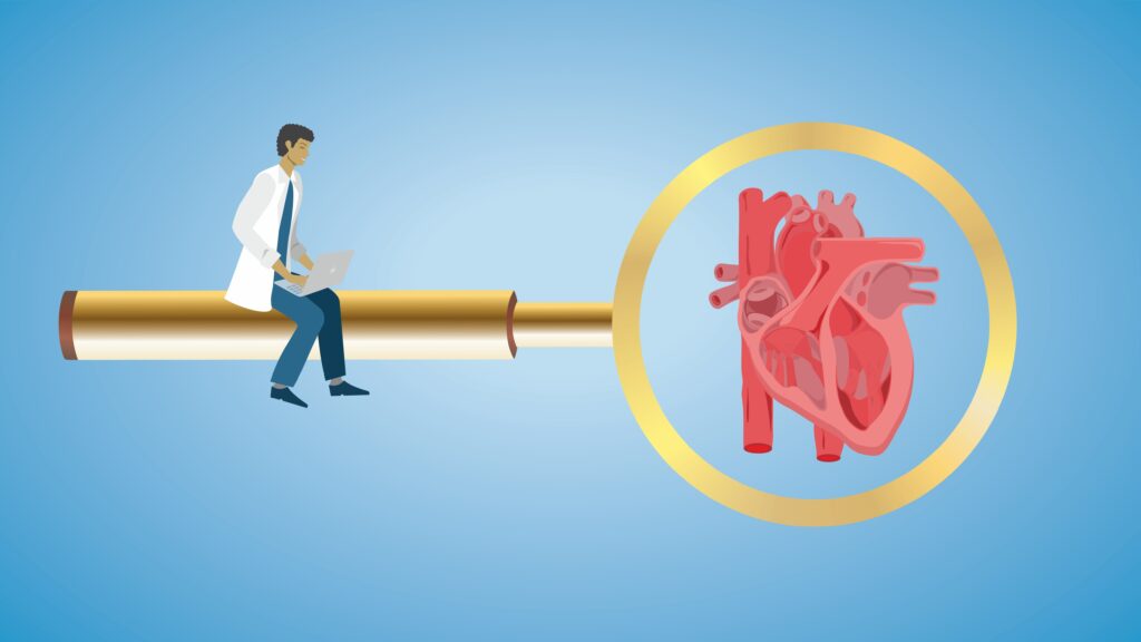 Opinion: I discovered a new structure in the heart — just by looking closely