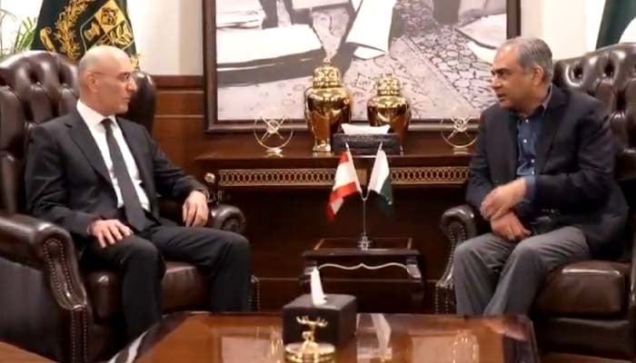 Pakistan, Lebanon vow to strengthen security, intelligence cooperation