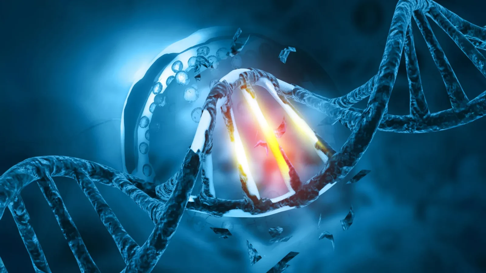 Popular sweetener byproduct damages DNA in human cells