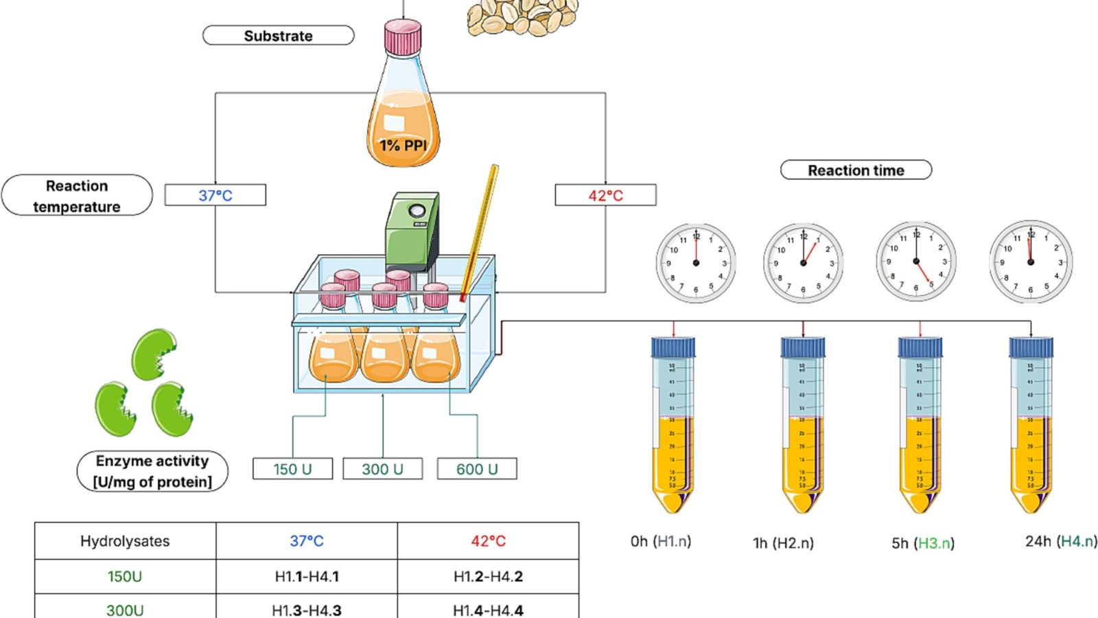 Pumpkin-derived enzyme weakens peanut proteins' binding to allergy antibodies in lab tests