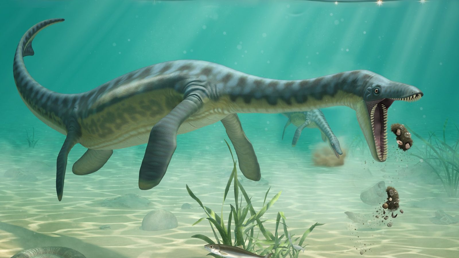 Queasy plesiosaurs swam to shore to vomit, Jurassic fossils reveal