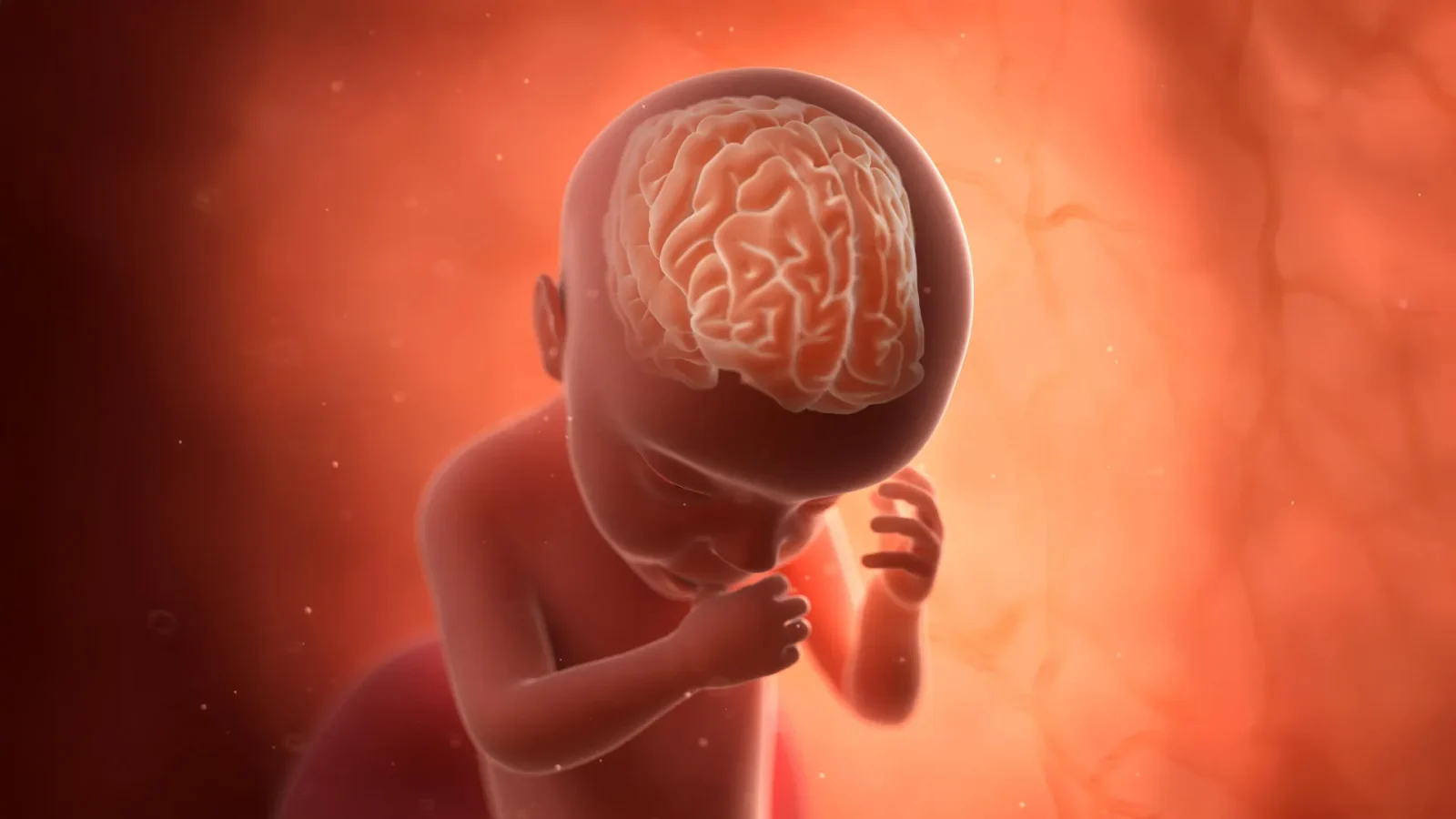 Rare pregnancy infections may triple the risk of autism
