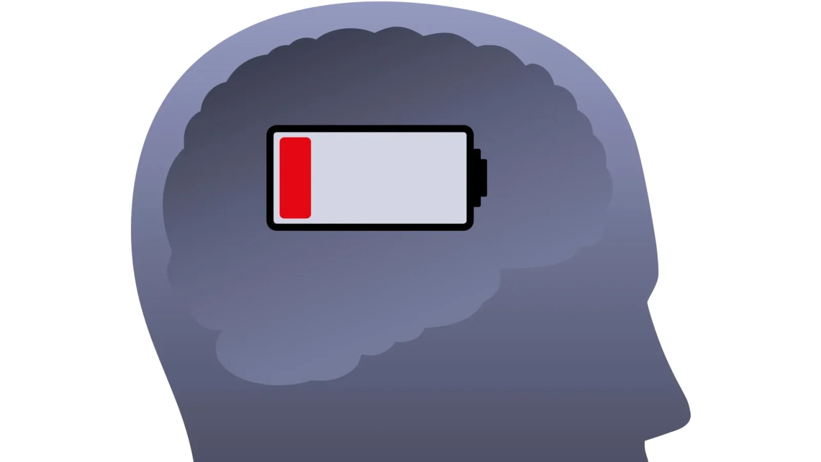 REM sleep paradox: Dreaming may drain the brain’s energy even as fuel supply rises