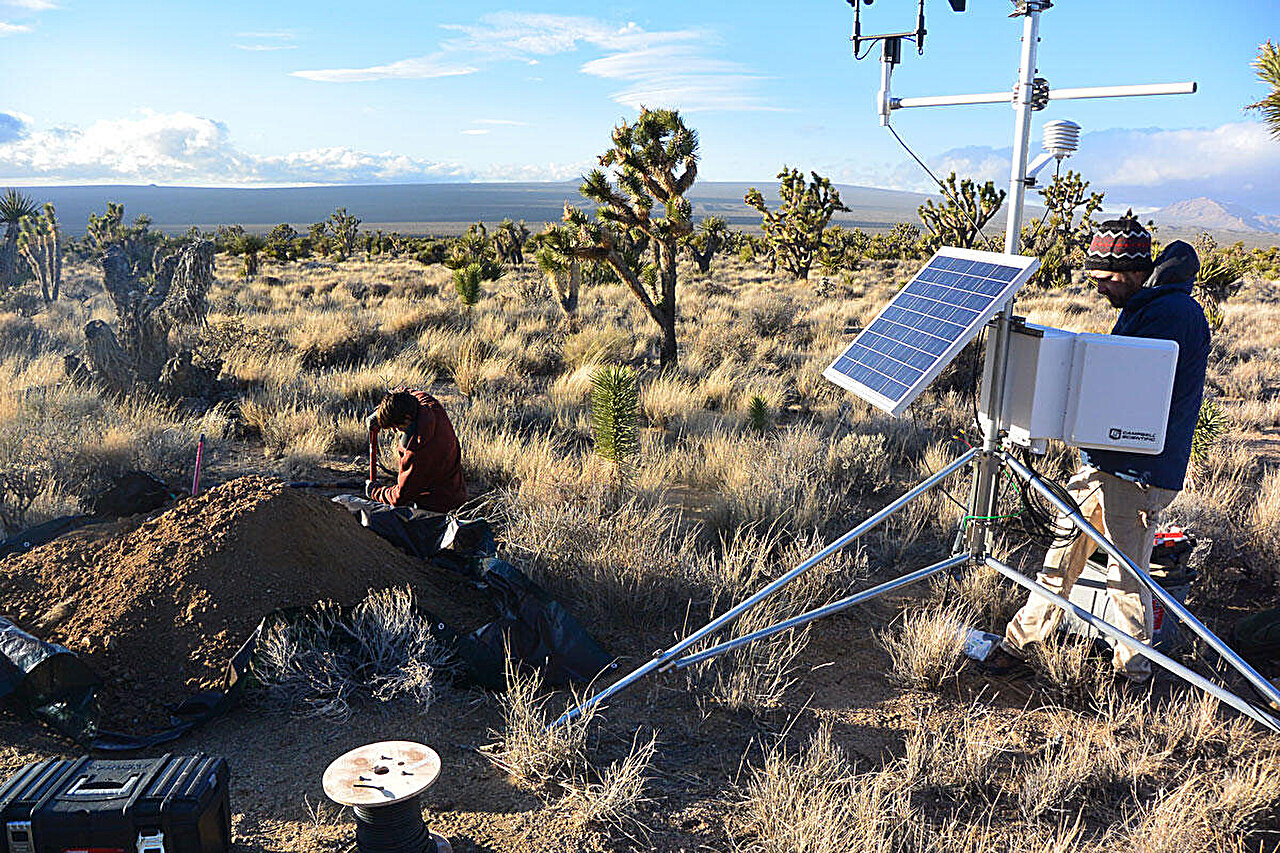 Scientists find a carbon cycle hiding in desert minerals