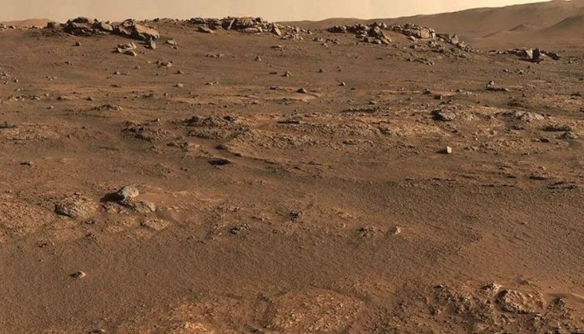 Scientists may have found a way to grow food on Mars