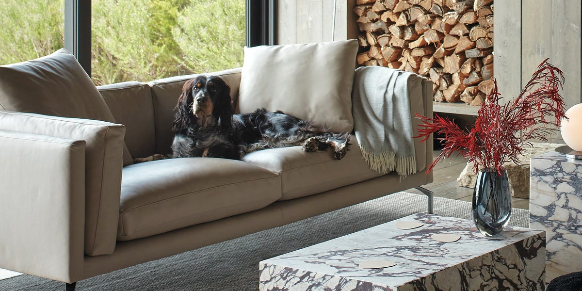 The 10 Best Leather Sofas to Shop for an Interior Designer-Worthy Living Room