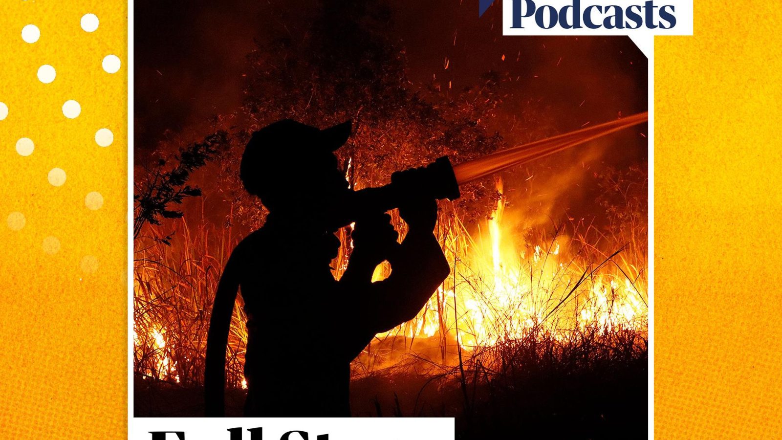 The 'apex predator' of fires choking south-east Asia - podcast