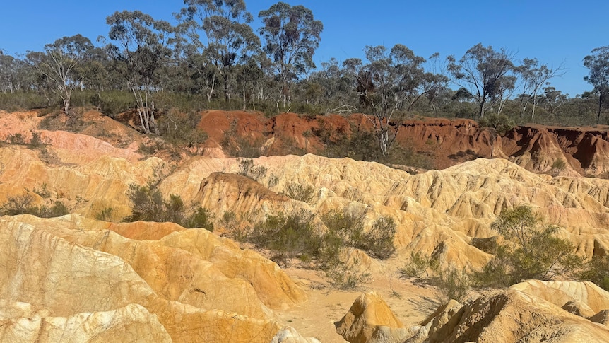 TikTok tourists blamed for visitor damage at Victoria's Pink Cliffs