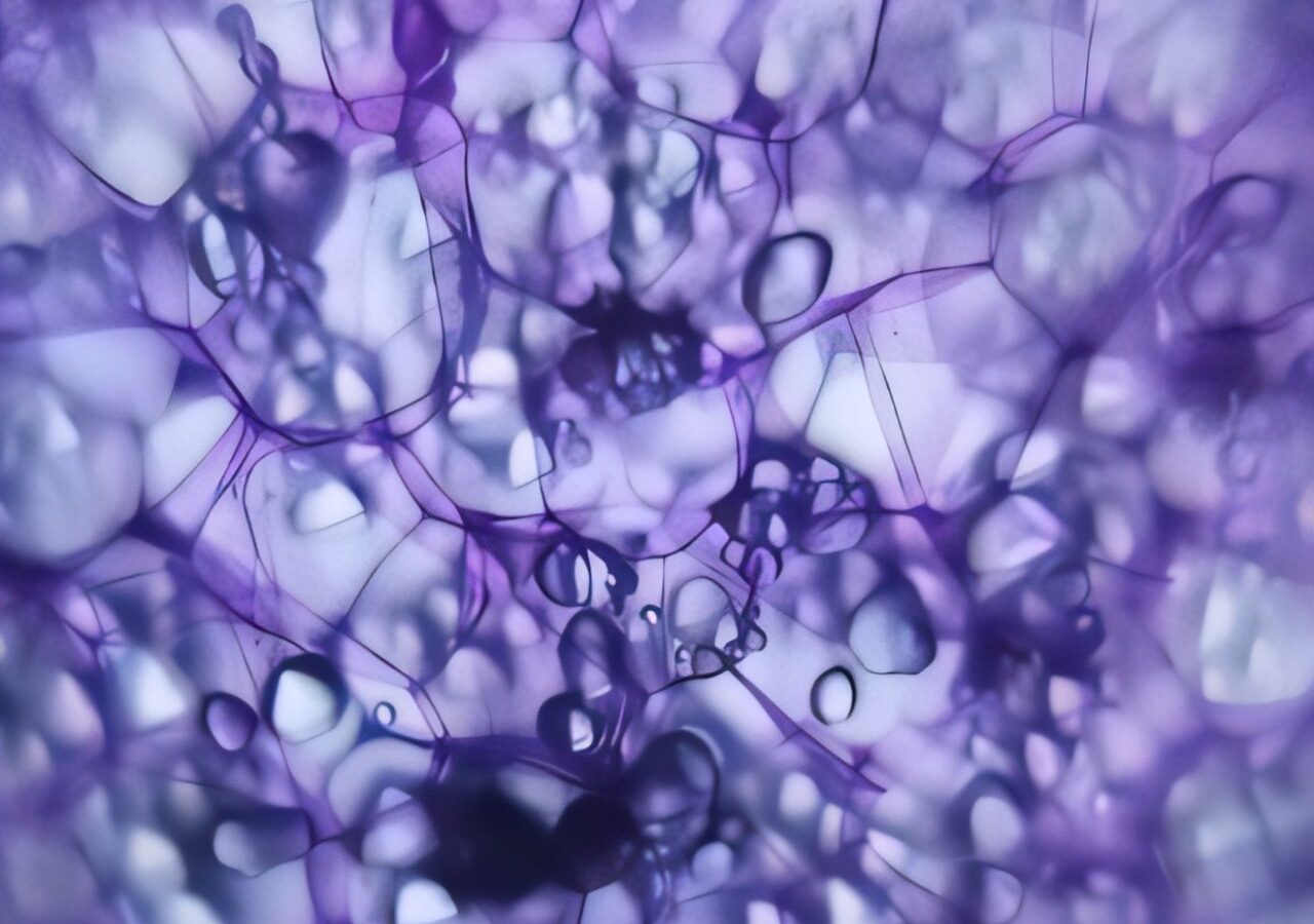 Unlocking AI as a research tool for plant microscopy