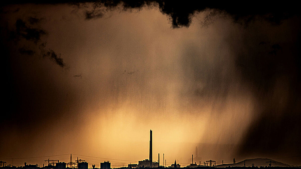 Volatile organic compounds may be underestimated in the carbon cycle