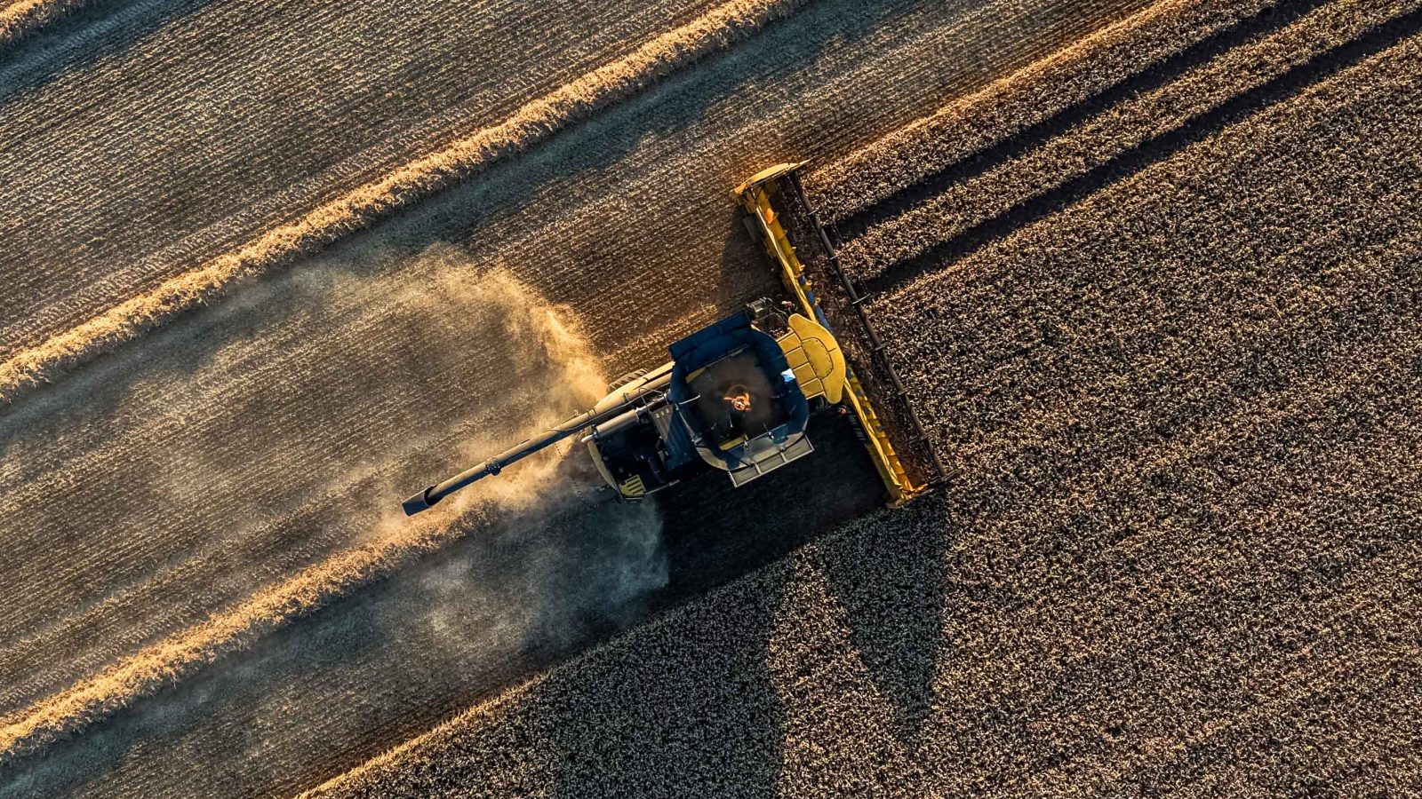 Weatherwatch: soil moisture deficit – how dry are the UK’s thirsty soils?