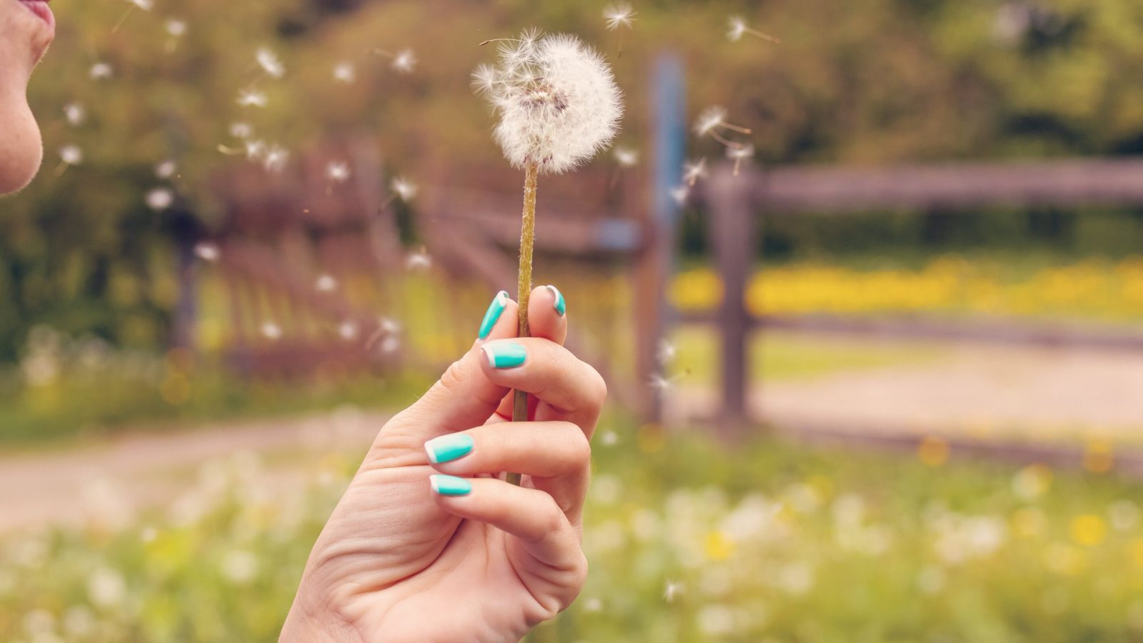 Why Melbourne makes you sneeze in spring