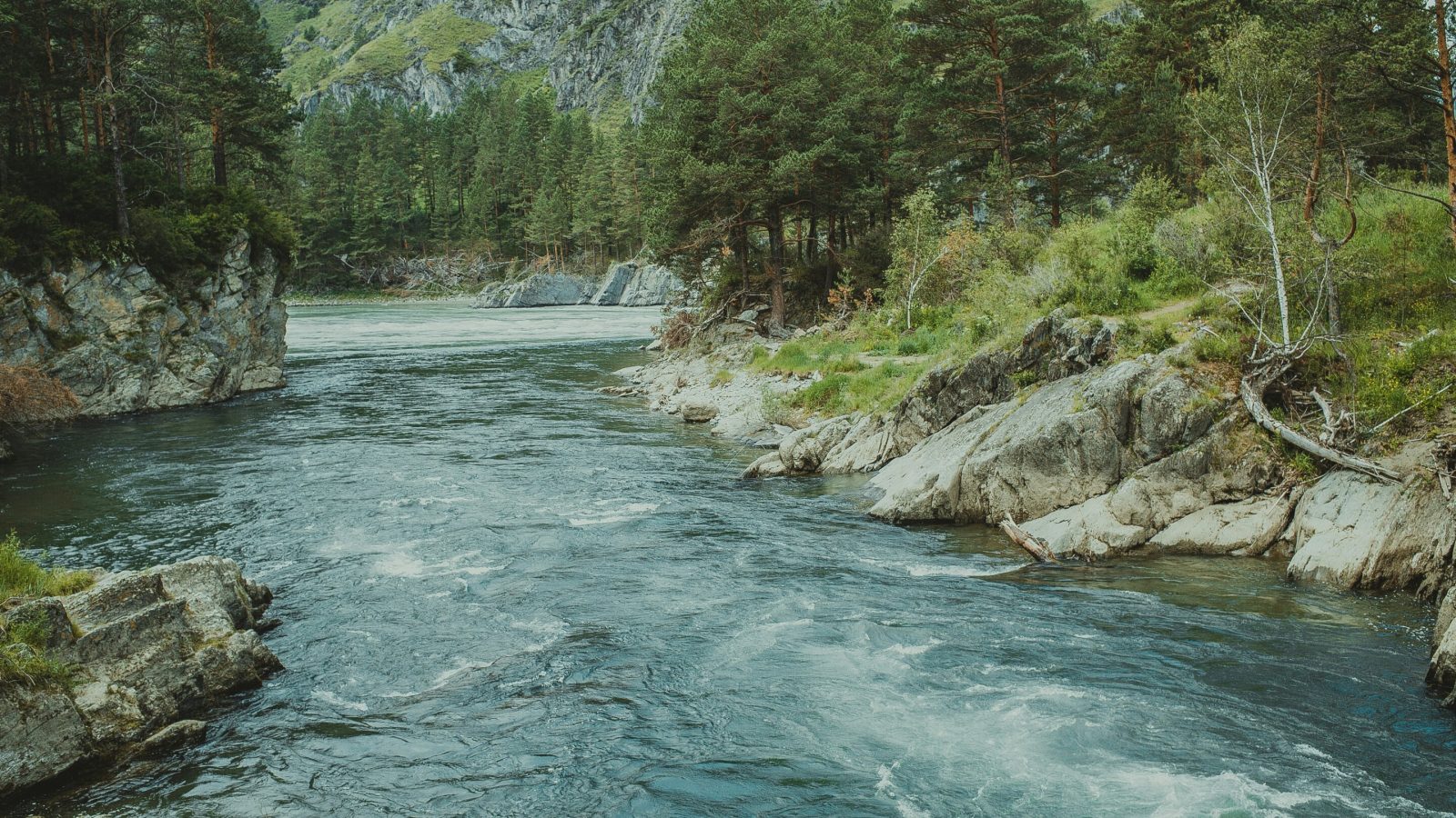Why most rivers don't respond to storms the same way twice