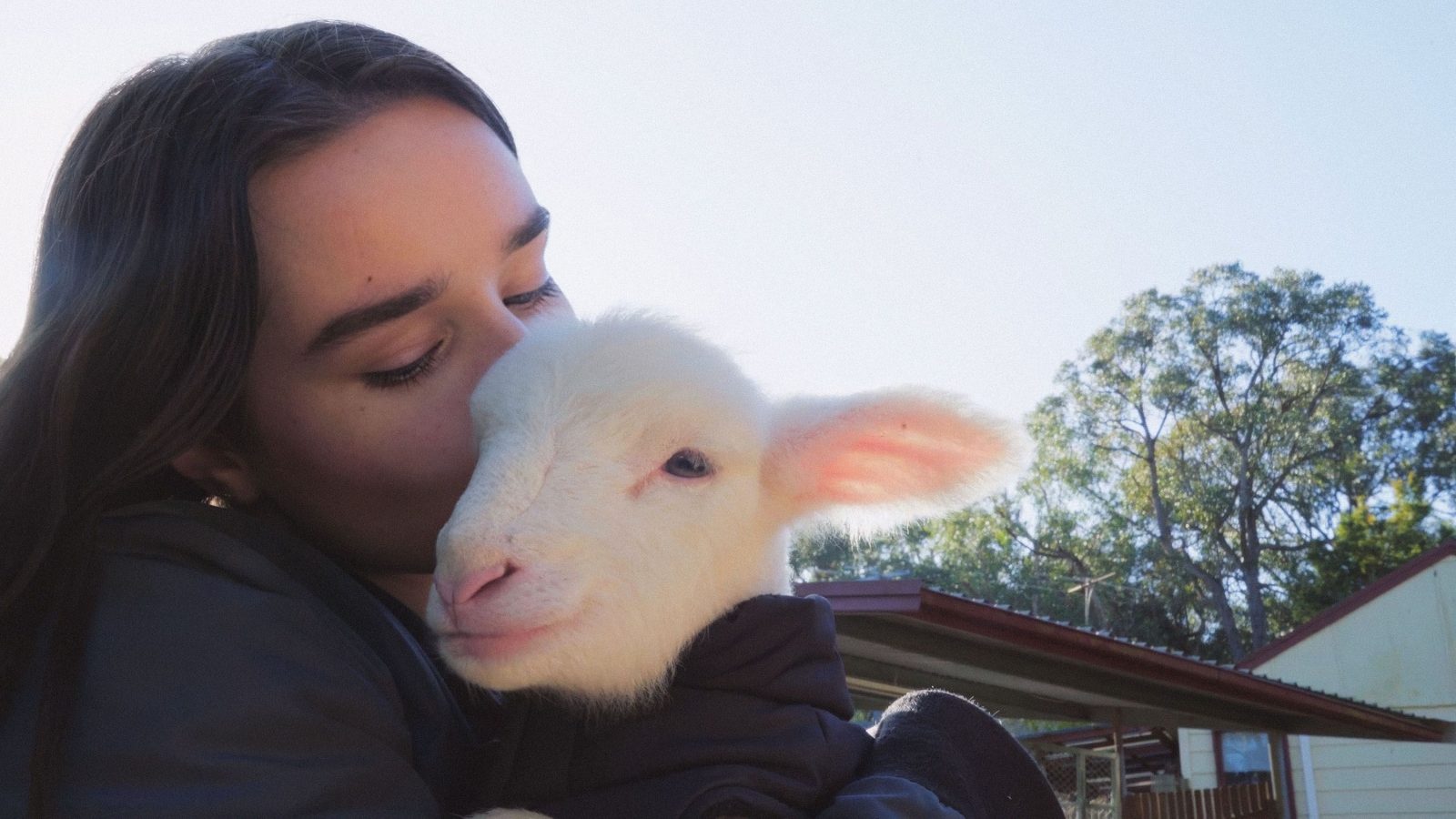 Wondering About Wool? These 5 Films Explain Fashion’s Relationship With the Fiber