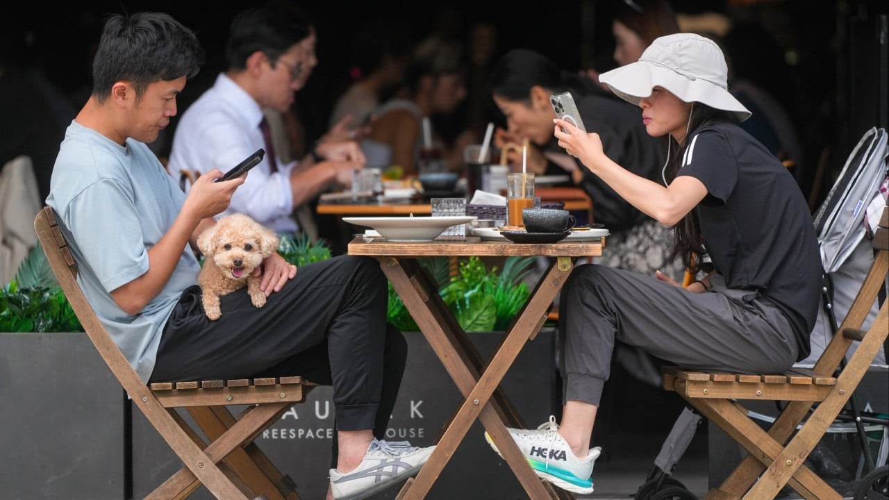 20 restaurants prosecuted for allowing dogs without permits since scheme launched