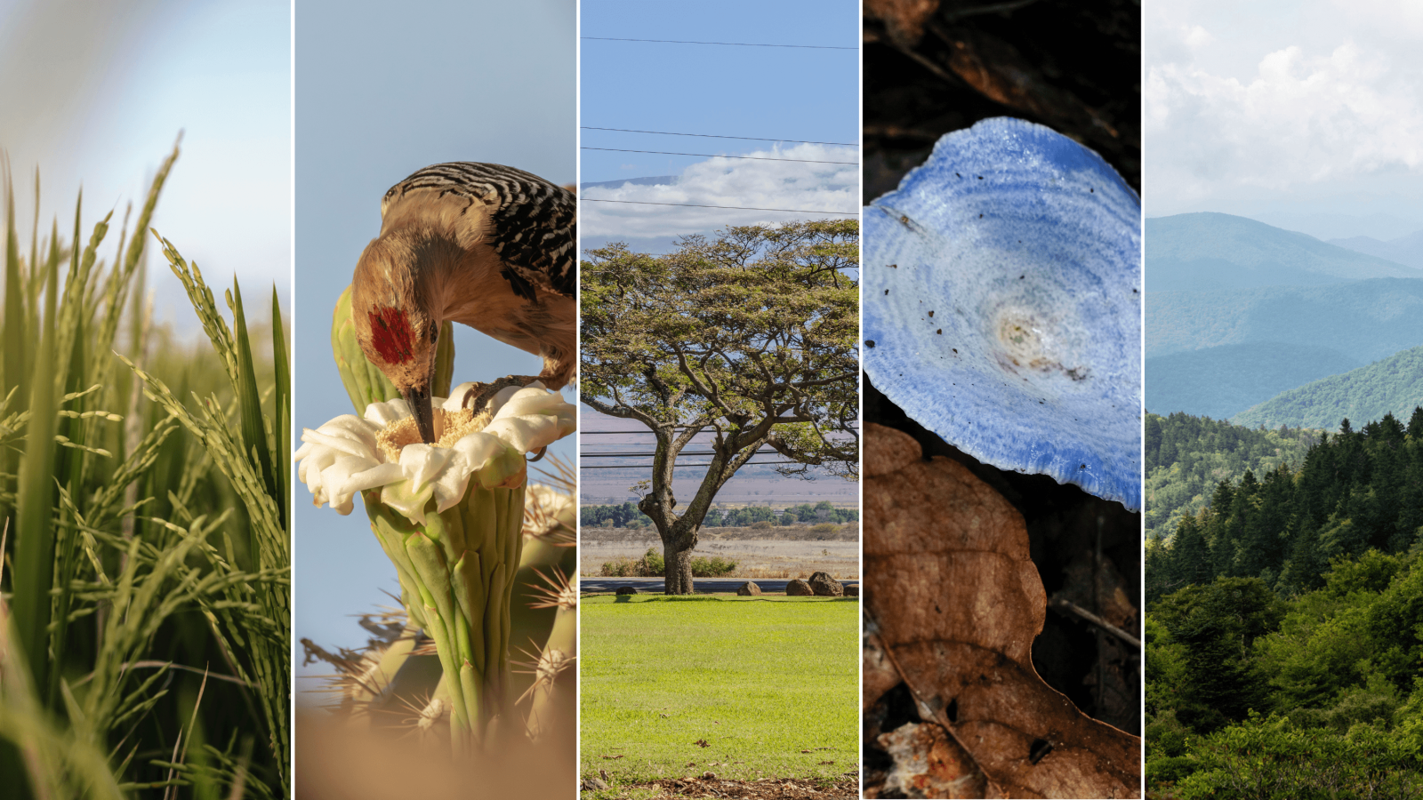 6 Places in the US Where Travelers Can Hunt, Fish, or Forage for Their Own Food