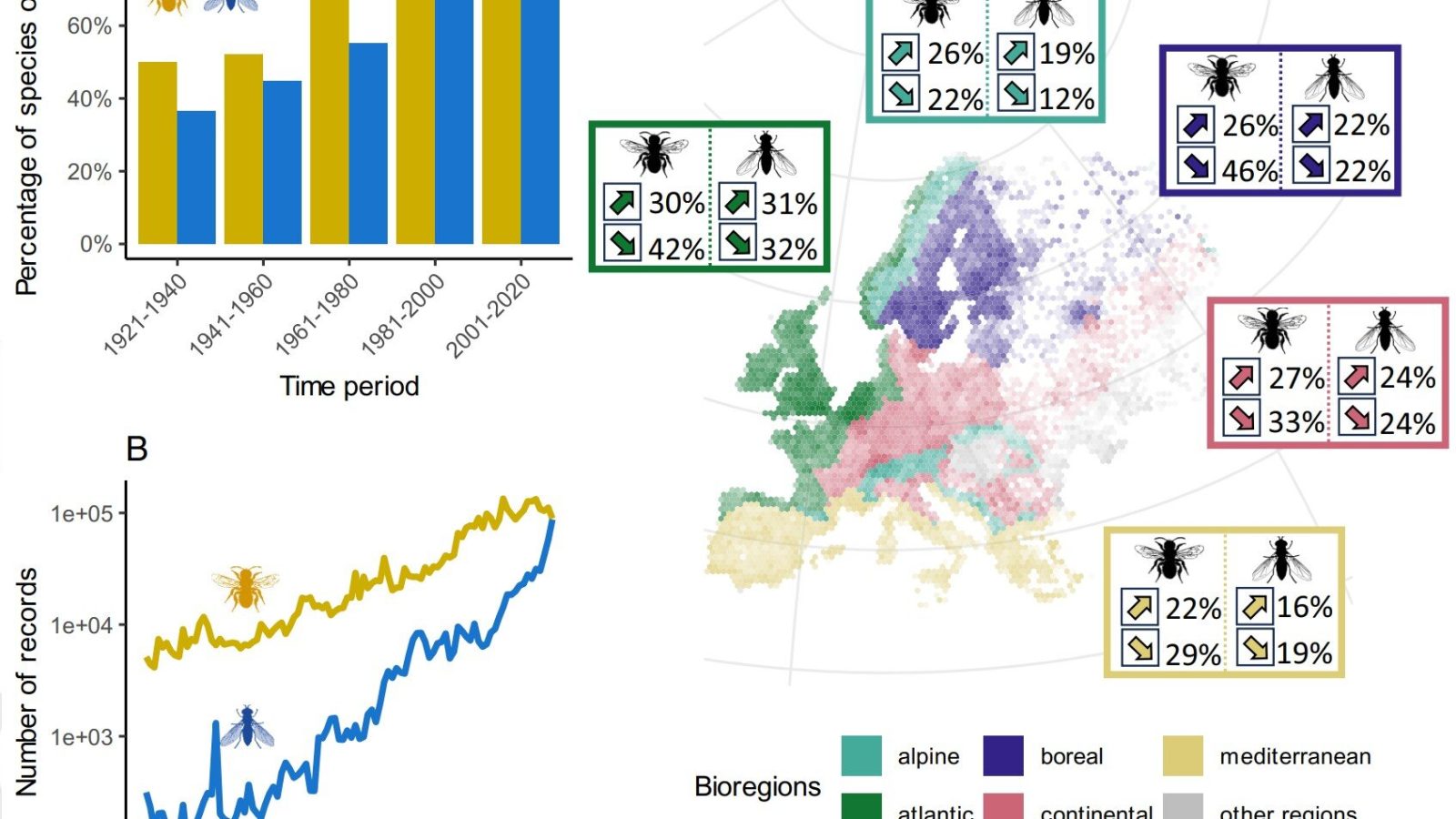 A century of records paints a worrying picture for Europe's bees