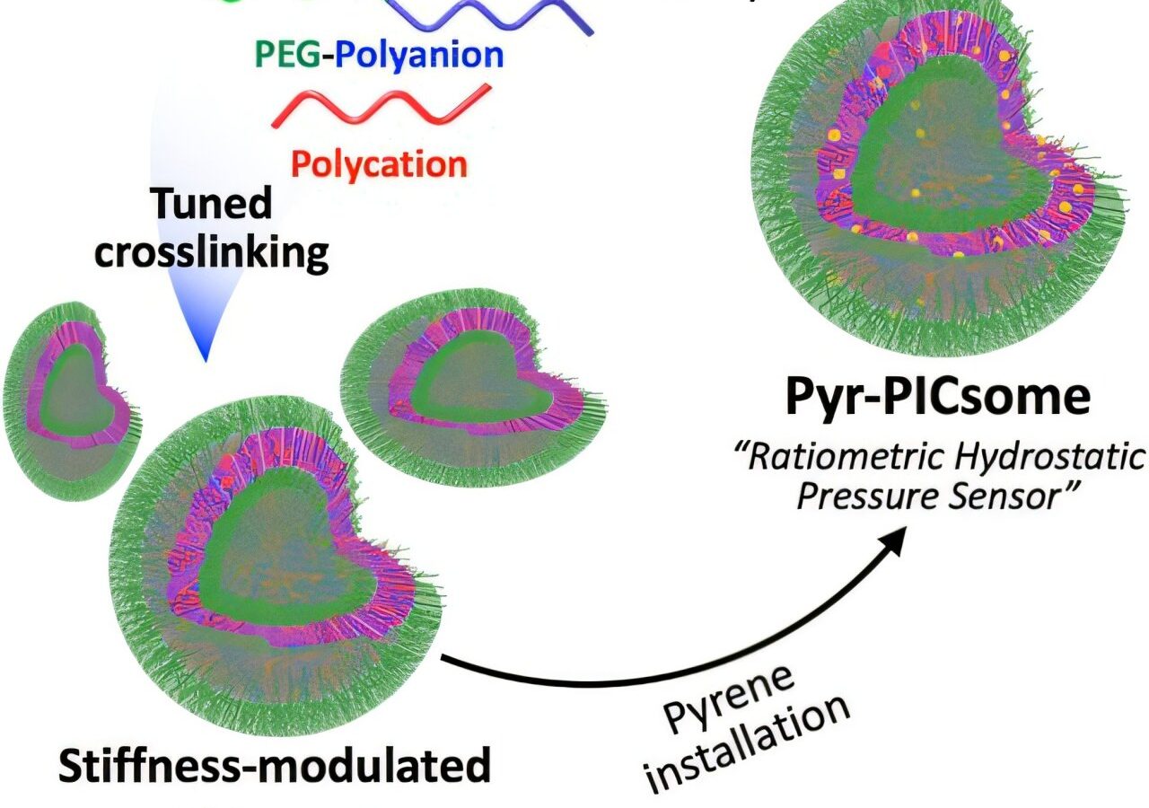 Adjustable nanosensors turn water pressure into fluorescent signals, with stiffness shaping sensitivity